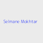 Agence immobiliere Selmane Mokhtar
